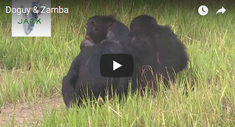 Capture plein écran 23092018 044316