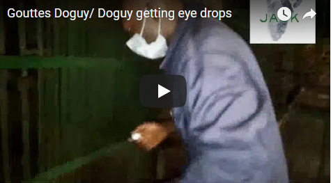 Capture plein écran 23092018 054734