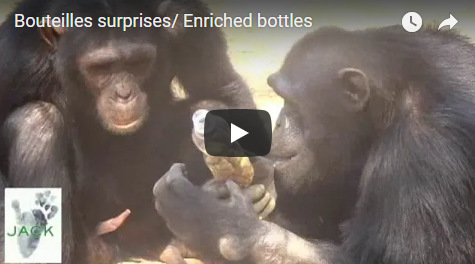 Capture plein écran 28092018 065912