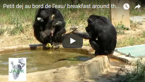 Capture plein écran 29092018 103920