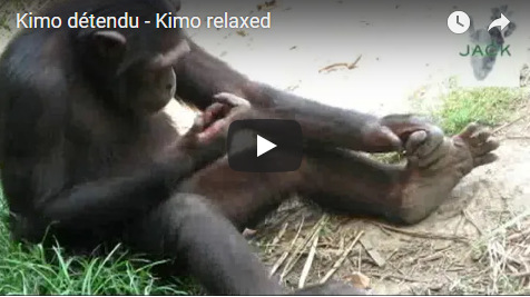 Capture plein écran 30092018 083832