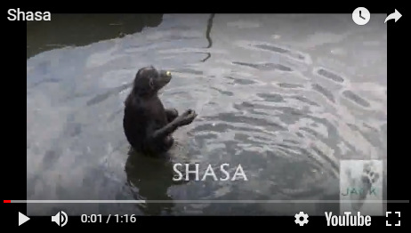 Capture plein écran 02102018 084556