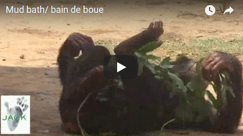 Capture plein écran 09102018 154921