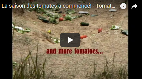 Capture plein écran 11102018 175836