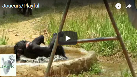 Capture plein écran 20102018 170112