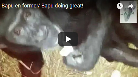 Capture plein écran 21102018 162716